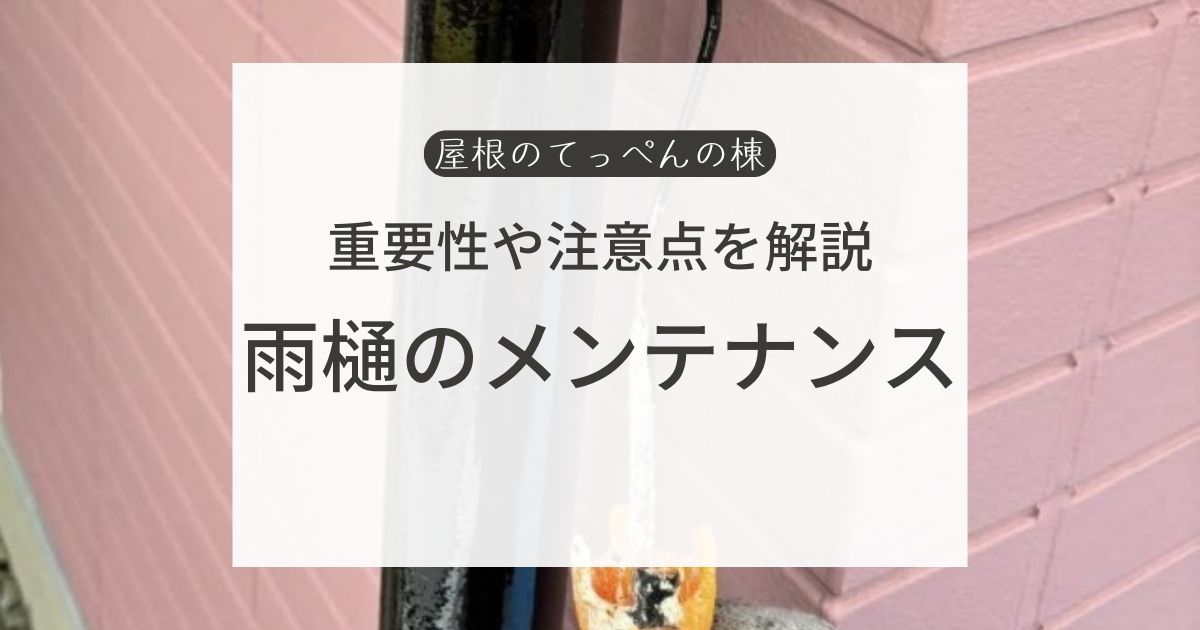 重要性や注意点を解説　雨樋のメンテナンス